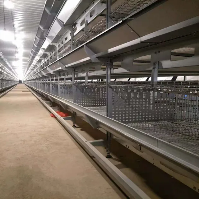  Проект по производству яиц курятник