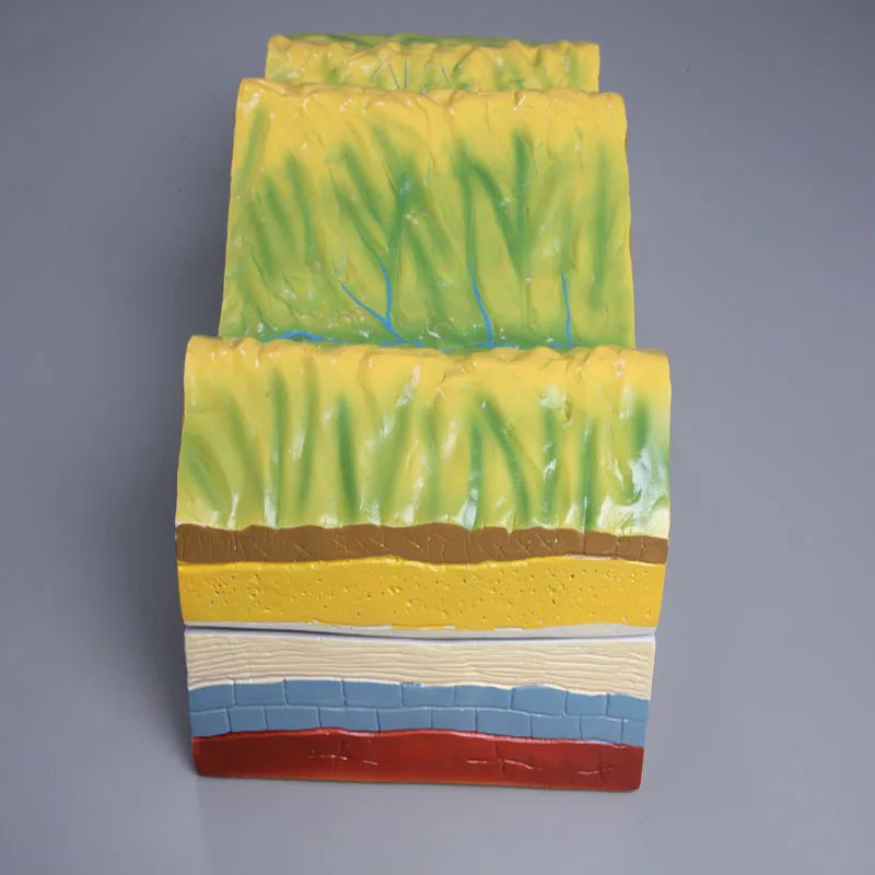 New High Quality Geography Education Folded Mountain Structure Model Equipment