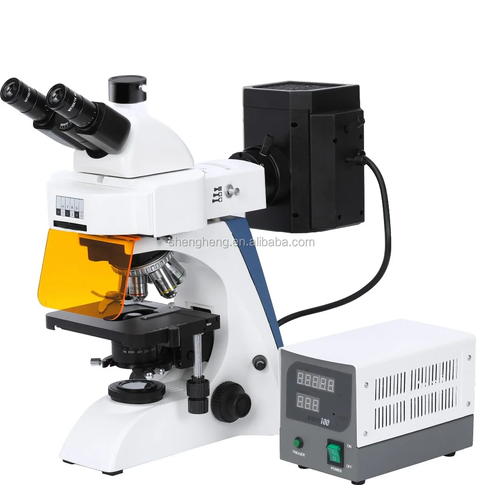 EPI Infinity mercury or LED Fluorescence Biological Microscope
