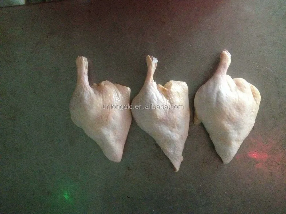 duck leg quarter 1