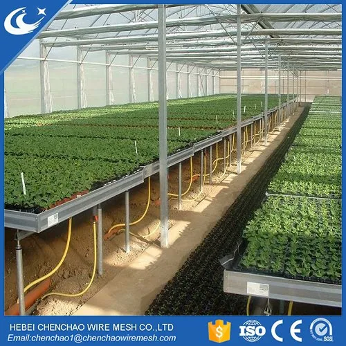 Movable Greenhouse Seeding Nursery Bed Growing Tables for Commercial plants Seedbed System