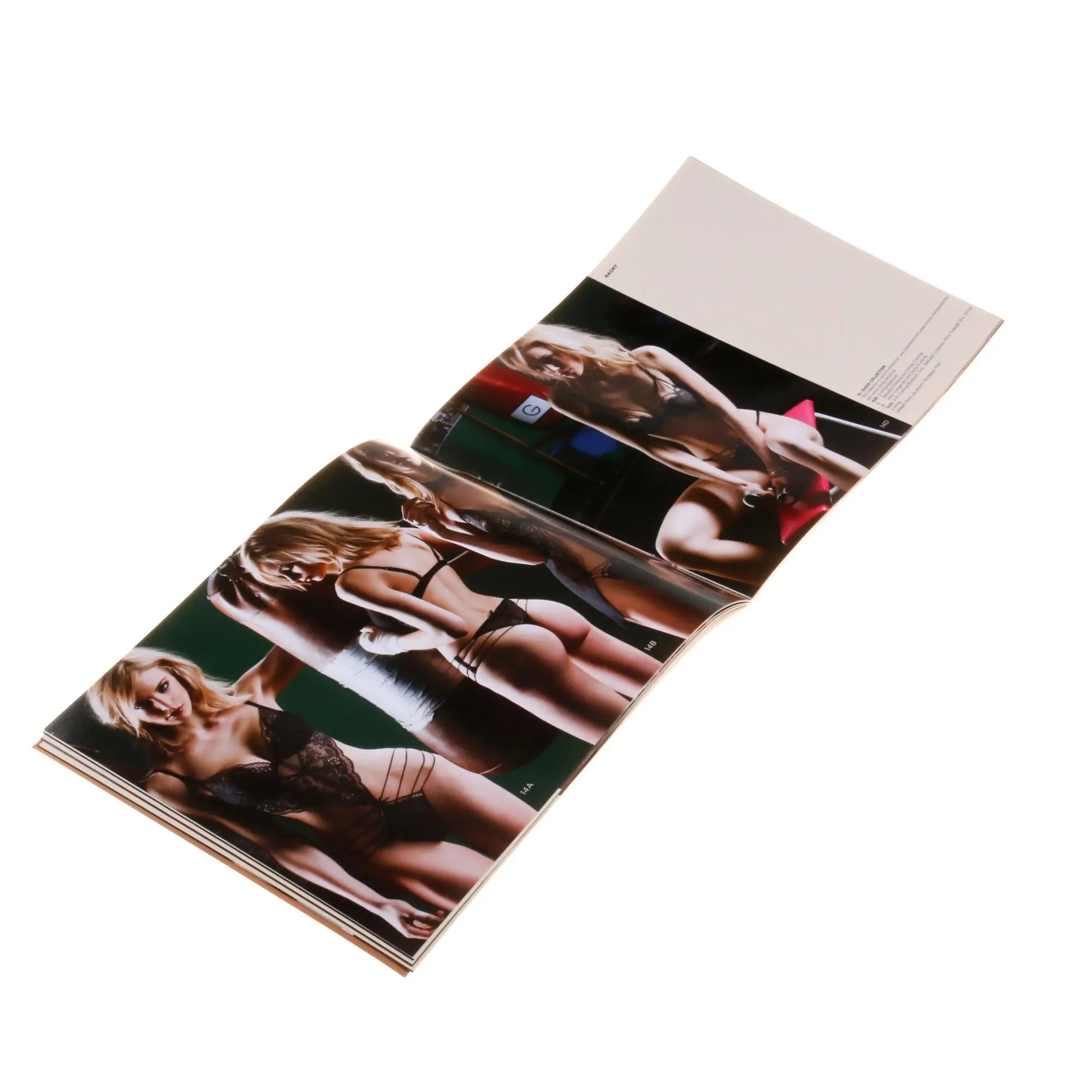 A5 softcover booklet custom color gold foil brochure printing