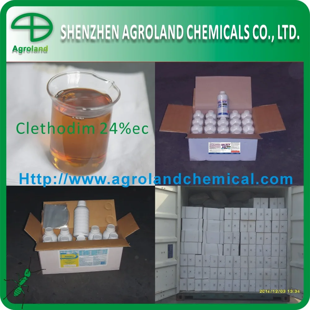 Clethodim 85%TC 50%TC 24%EC weed killer