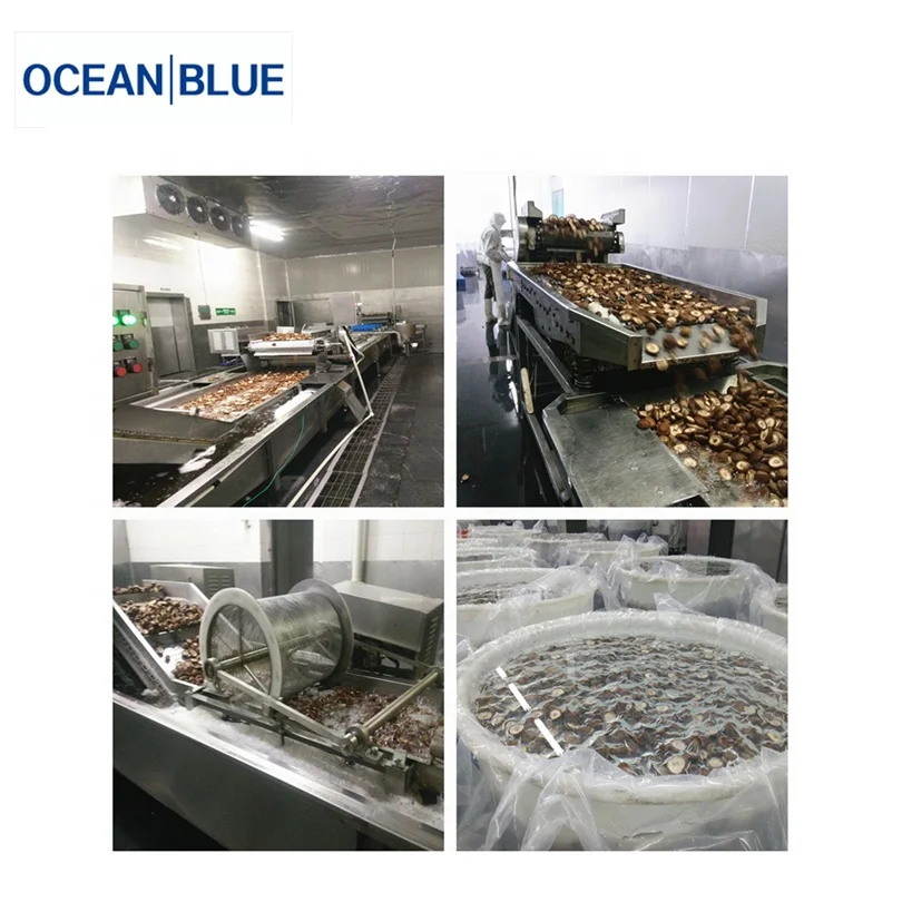 Vegetables and Fruits IQF Tunnel Blast Freezer