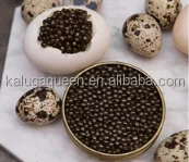 250g/500g beluga sturgeon Caviar Malossal Imperial