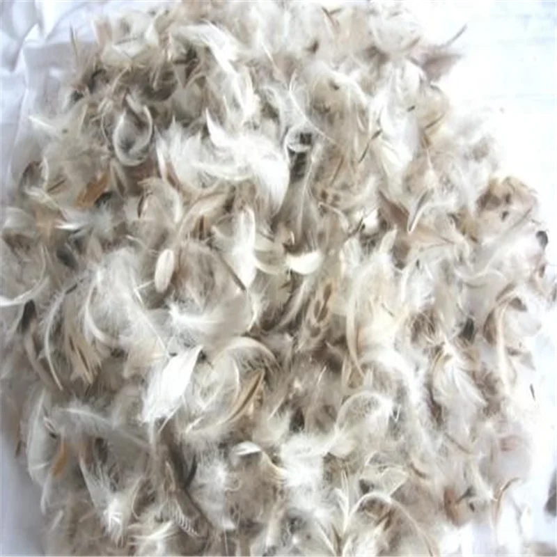 
Bulk goose feathers 90% grey duck down for sale 