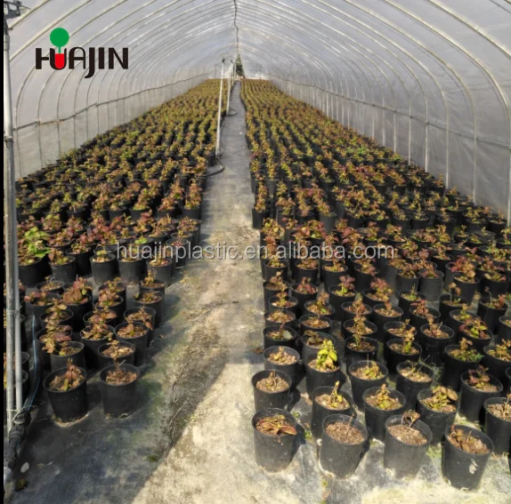 
Horticulture cannabis plastic flower plants nursery cannabis planter 
