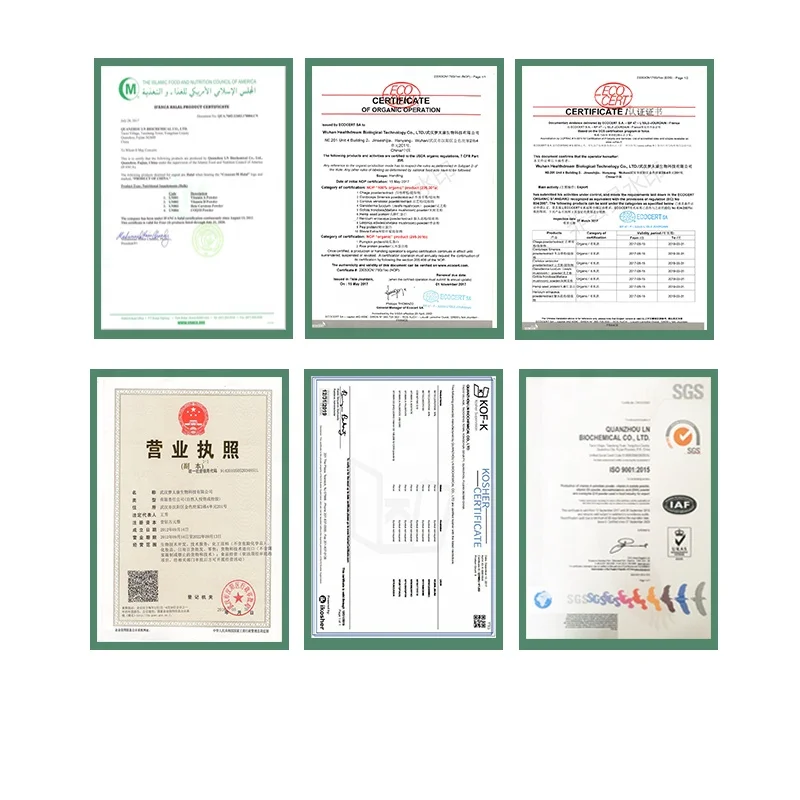 
Natural Premium Quality sea cucumber peptide, sea cucumber extract 