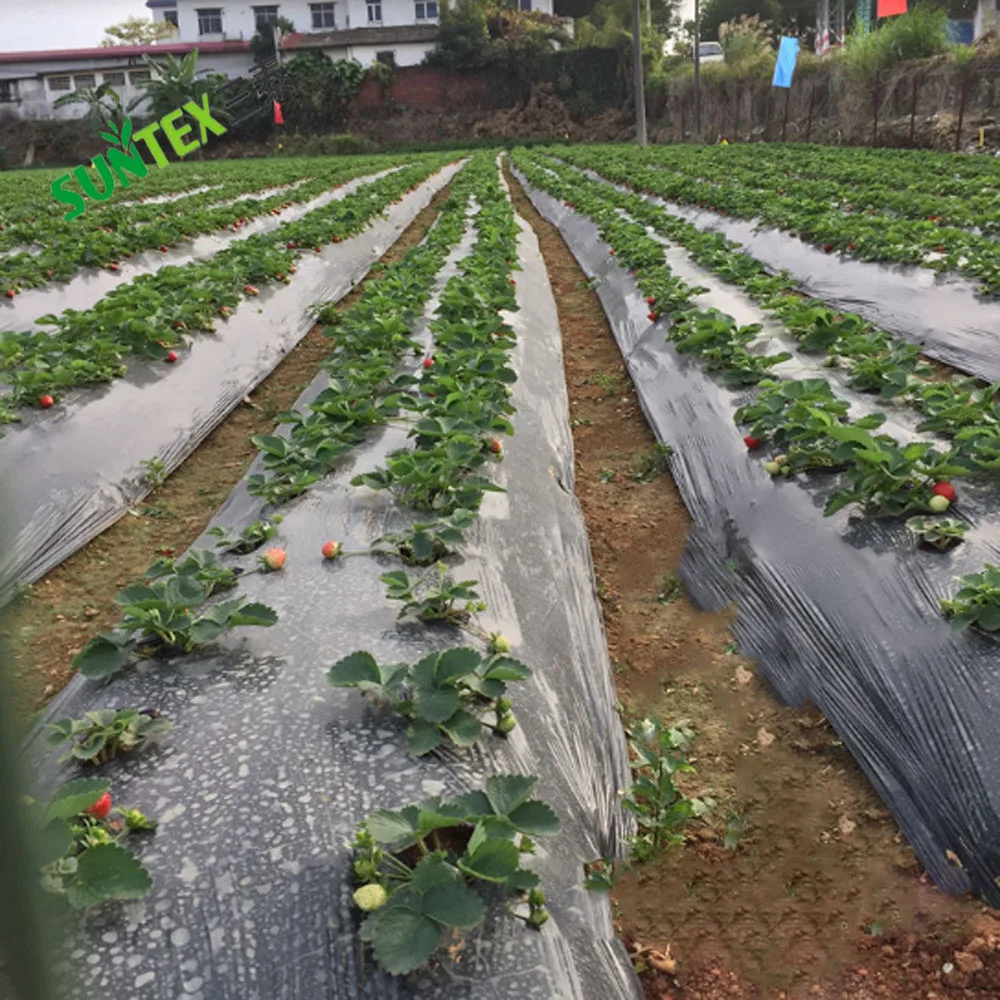 Strawberry Greenhouse Ground Cover Poly Film 20 Micron Black Pest Control Mulch Film 1*500m