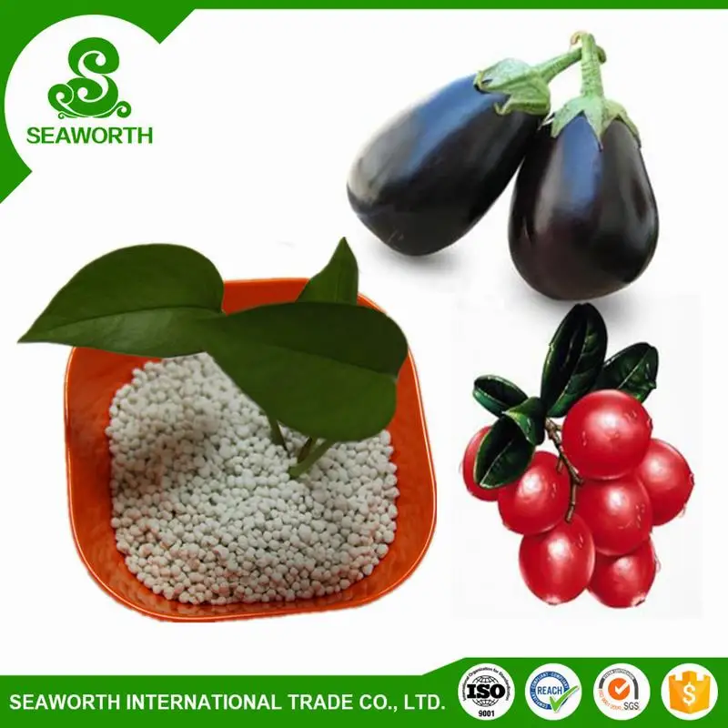 Best sell biochar soil conditioner for potato with competitive price
