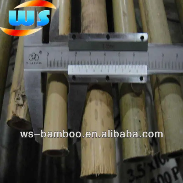 bamboo 270cm 24/26mm