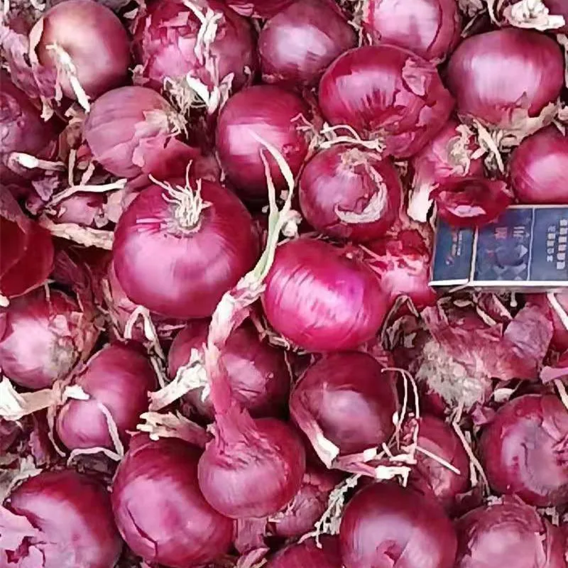 
2021 Chinese Onion Supplier 