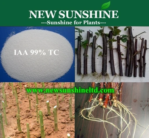 Профессиональный производитель МАА 99% укоренения гормона, высокое качество 3-стимулятор роста корня уксусной кислоты регулятор