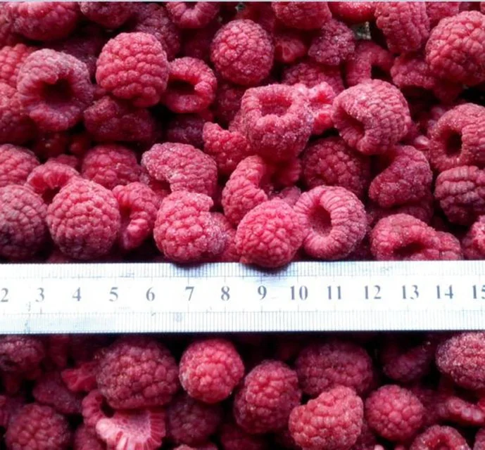 HACCP Certified Frozen IQF Raspberry Whole/ Broken/ Crumbles