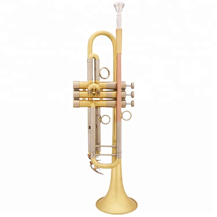 
Accept OEM DSTR-6006 Heavy Duty Professional Trumpet 