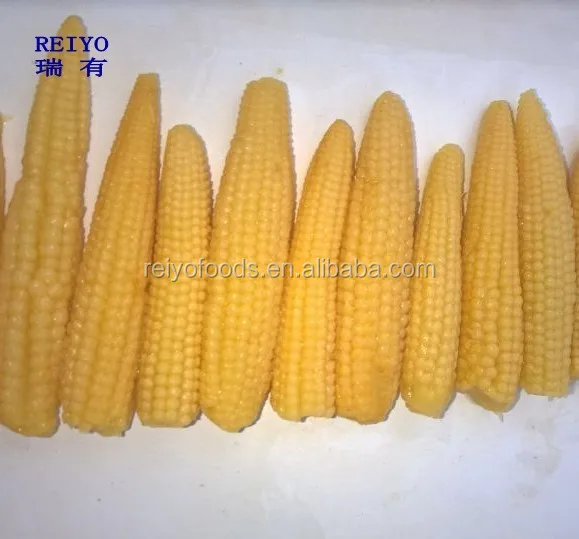 
canned baby corn 