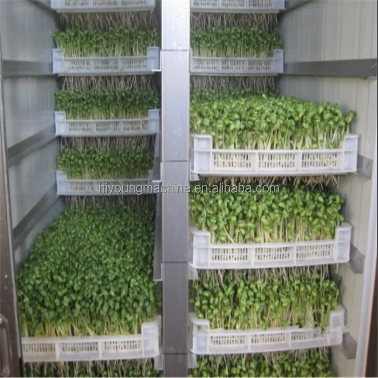 barley sprouting machine garlic sprouting machine soybean sprouting machines