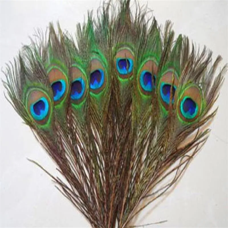 Прямая продажа с завода, точечная поставка, высокое качество, перо павлина