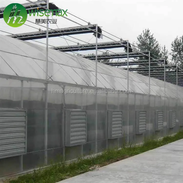 High Quality Agriculture Multi Span Plastic Film Greenhouse