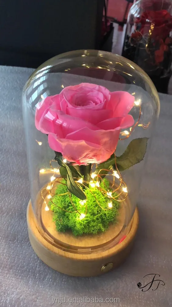 
Unique LED Gifts JJ Preserved Roses in Glass Dome 