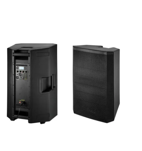 12 inch 250 watts max power installed sound systems for DJ system