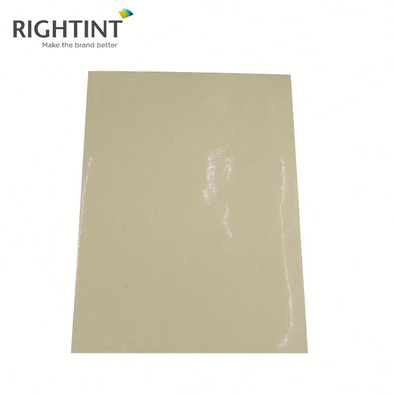 Adhesive Pet Film Self Adhesive Backed Mylar Sheets Metallized Film Decorative Film Transparent Sheet or Roll Casting Rigid