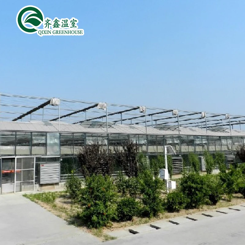 25 Years Quality Guarantee Galvanized Steel Structure For Glass Greenhouse