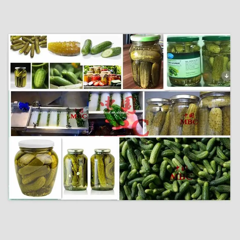 
Automatic continuous bottles canned cucumbers processing machinery 
