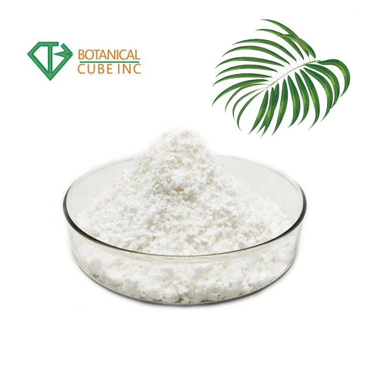  High Quality Saw Palmetto Extract Powder Palm Fatty Acid