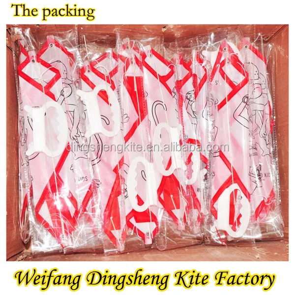 China teaching kids kite DIY kite drawing kite manufacturer