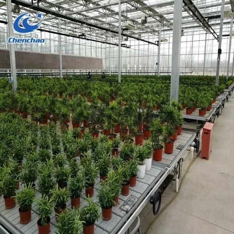 Multifunction Greenhouse ebb and flow bench for Hebei Chenchao factory