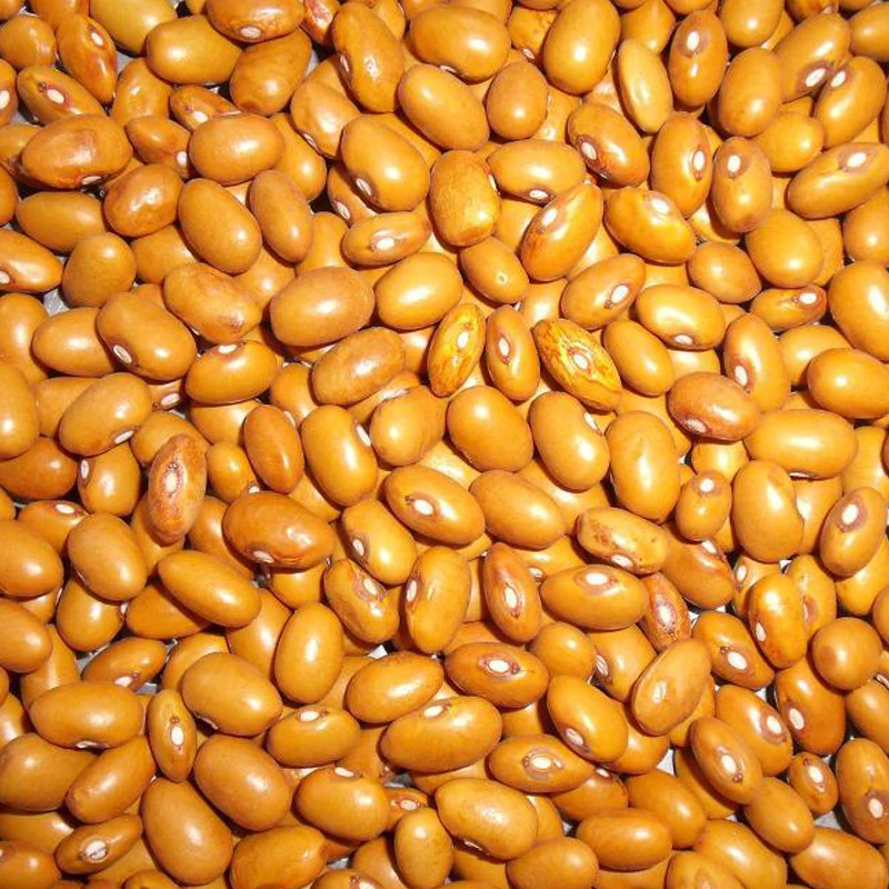 Dried yellow kidney beans