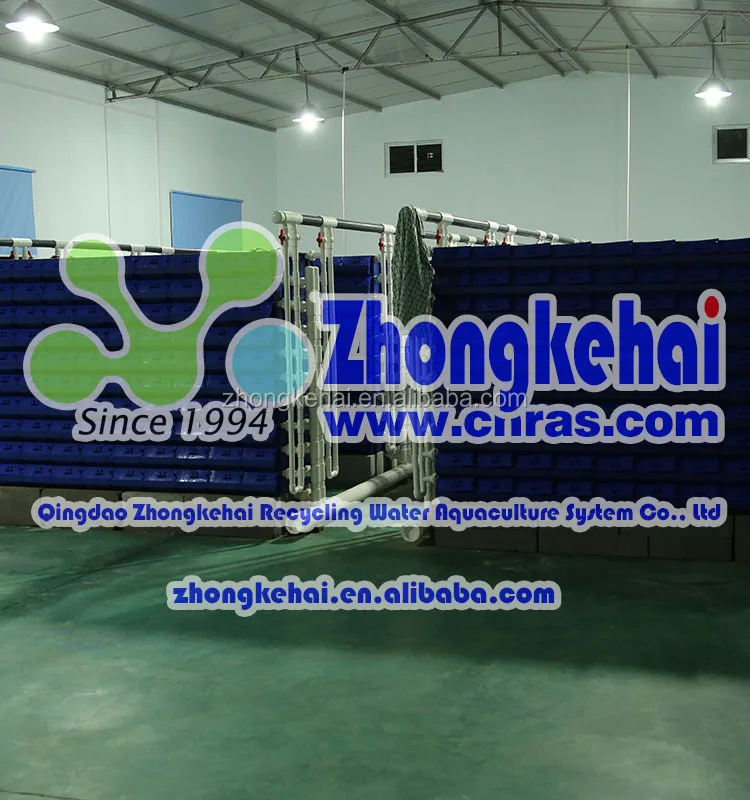 Краб-ловушка грязевой краб-дом