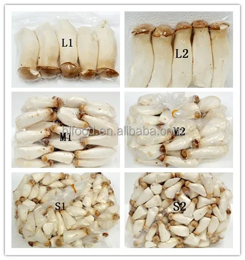 
2019 Hot sale fresh king oyster mushroom 