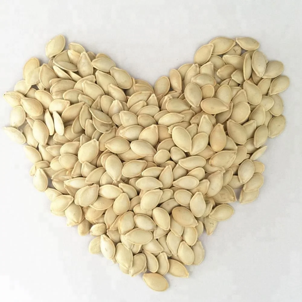 Long zucchini hybrid f1 squash vegetable seeds