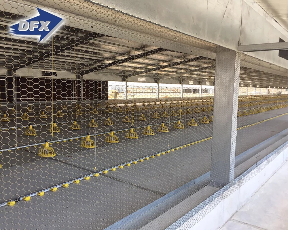  Гостиничное использование и стальной материал Птичий дом для 10000 кур