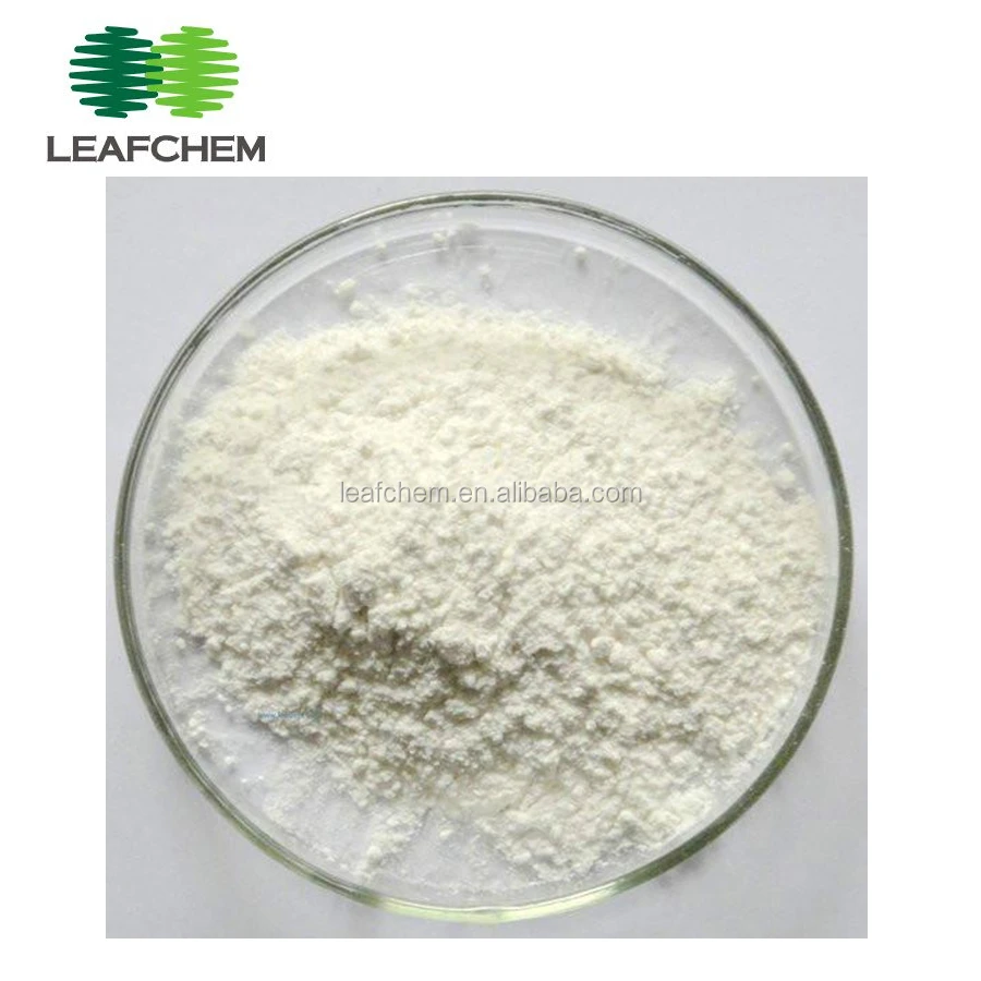 
White Kidney Beans P.E Extract Phaseolin 10:1 Powder with good price 
