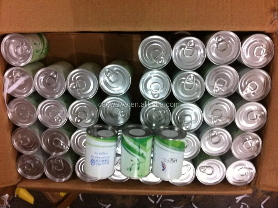 Подарок «сделай сам», Оловянная банка, цветок, мини-растение, офисные декоративные растения с семенами трав