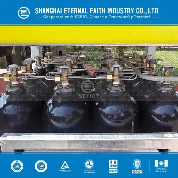 European Market Liquid Nitrogen Gas Cylinder Price for Sale