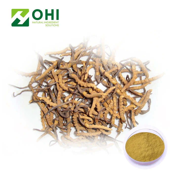 
Top Quality Cordyceps Sinensis Extract Polysaccharides 30% 