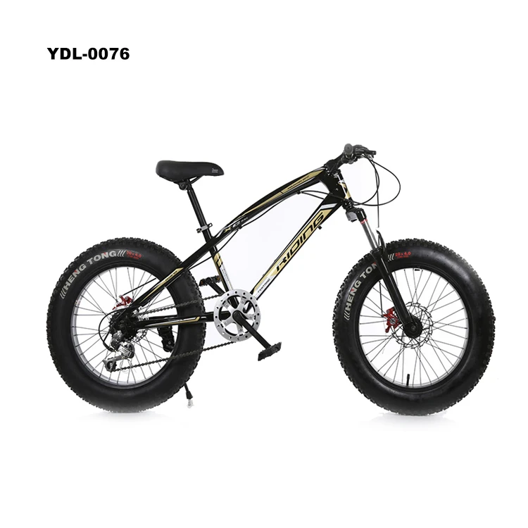 
Factory Double Disk Bikes 20 Inch Beach Bicycle Fat Tire Snow Mountain Bike 