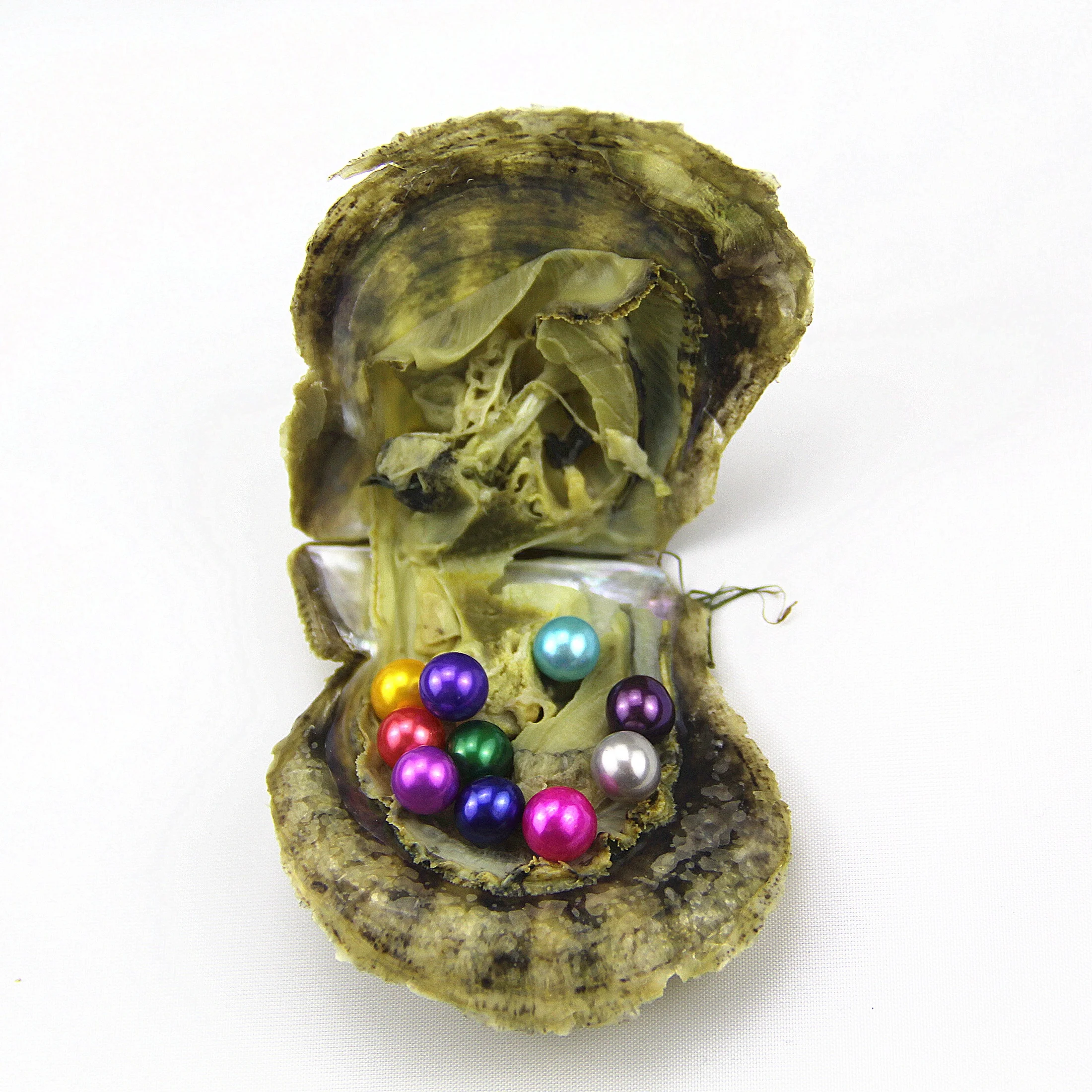 
AAA+ grade 6-7mm Natural Freshwater Pearl Mixed 34 Colors 10 pearls in 1 Akoya pearl oyster, Vacuum packing 