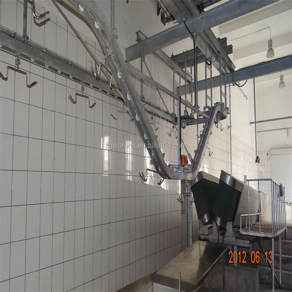 Live Sheep Slaughterhouse Goat abattoir Lamb Slaughter
