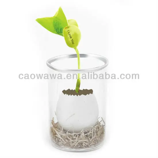 Взрывоопасные яйца, волшебные фасоли, Выращивание растений, новинка, подарок и влияние различных цветных слов