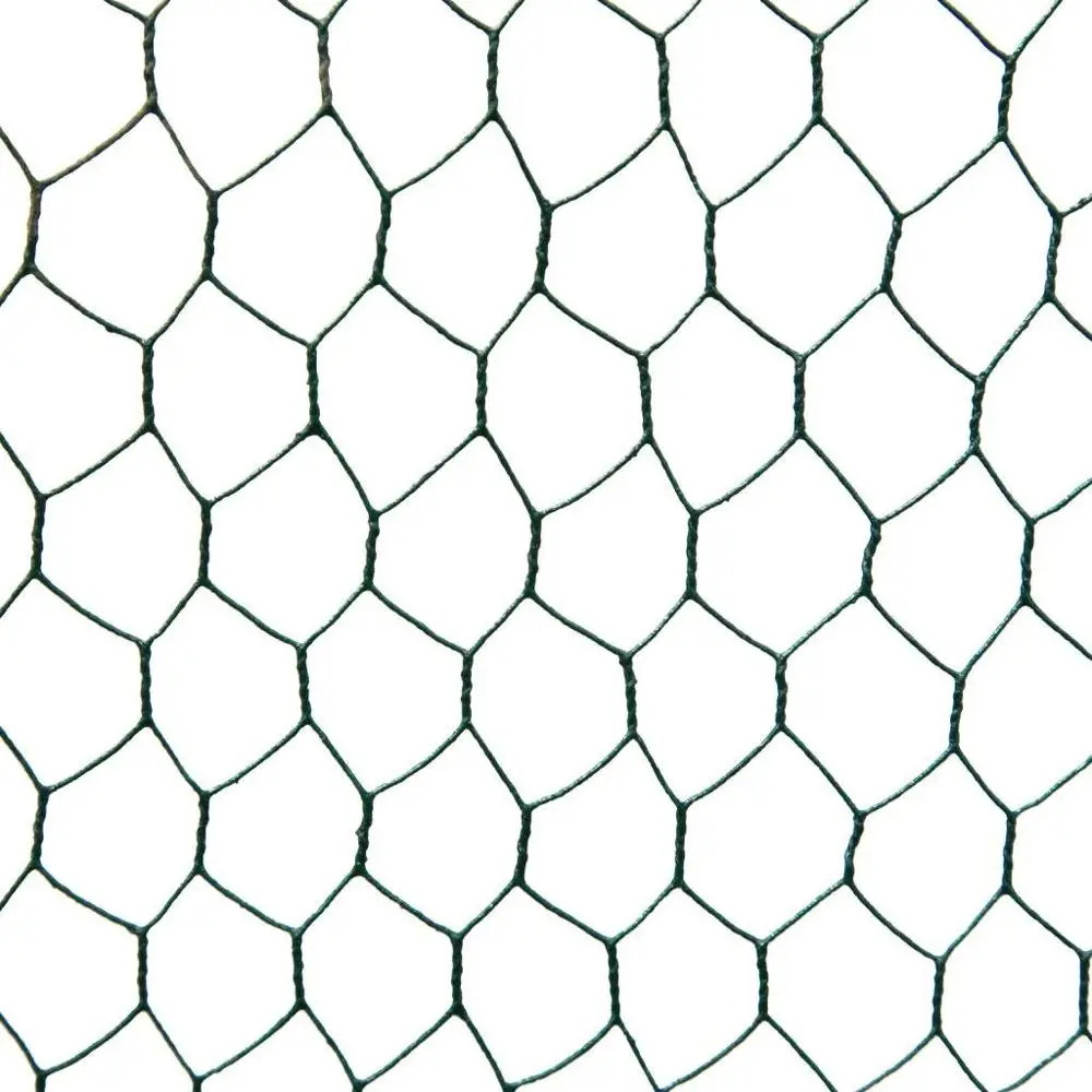 Custom Metal Frame Walk In Chicken Poulailler For Outdoor Backyard