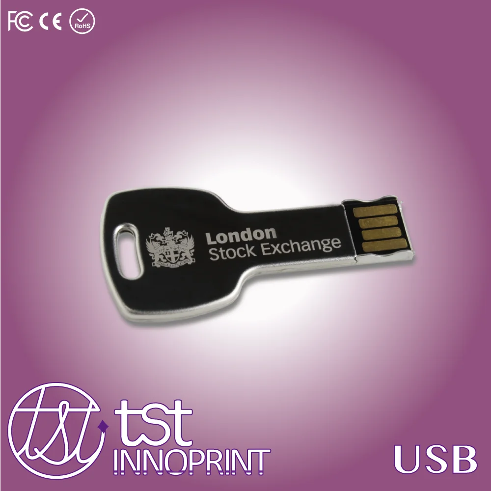 Заблокировать Данные Заказ Высокого Качества Блестящий Металл USB Ключ с Собственный Логотип