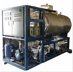 Stainless steel business lyophilizer tomato fruits and vegetables cold air drying frezze machine price