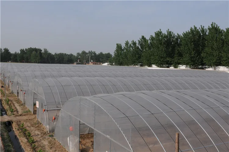 Сельское хозяйство полиэтиленовой пленки высокого качества ЕВА тепличной пленки