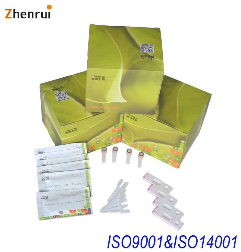 Avian influenza AIV rapid test kit for veterinary poultry disease test