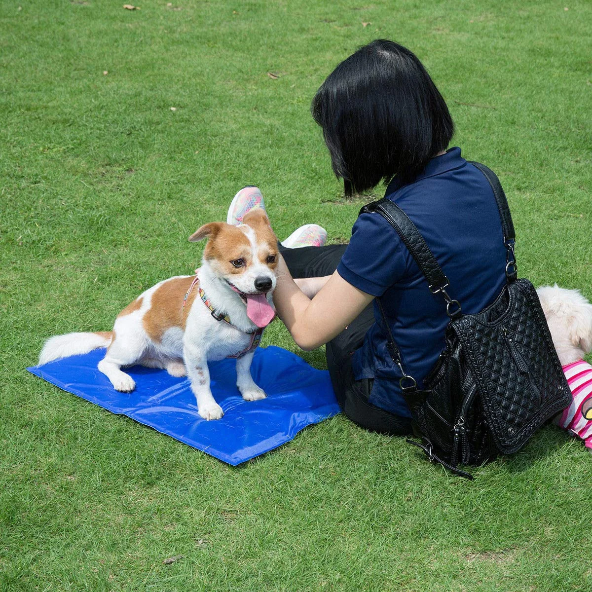Pet Durable Non-toxic Gel Self Cooling Mat Pad